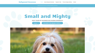 Thumbnail of hollywoodhavanese.com