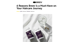 Thumbnail of takebreev.com