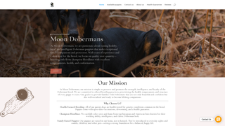 Thumbnail of moondobermans.com