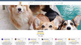 Thumbnail of corgihomeusa.com