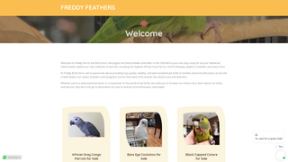 Thumbnail of freddyfeathers.com