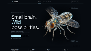 Site preview