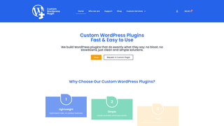 Thumbnail of customwordpressplugin.com