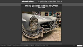 Thumbnail of williams-mark.com