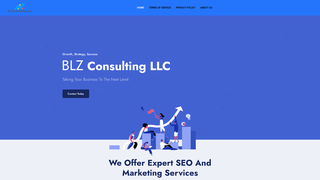 Thumbnail of blzconsultingllc.com