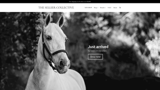 Thumbnail of theselliercollective.com