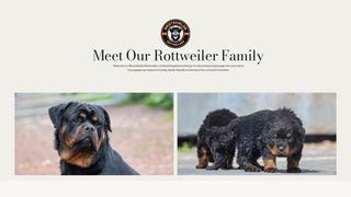 Thumbnail of westshieldsrottweilers.com