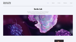 Thumbnail of ritaserdalab.com