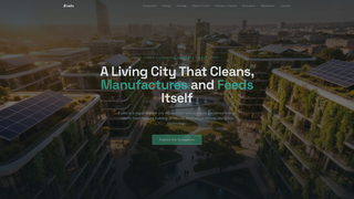 Screenshot of aevaliscity.com