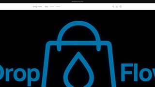 Thumbnail of dropfloww.com