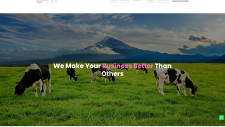 Screenshot of apexphosphate.com