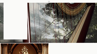 Thumbnail of ciararoganharp.com