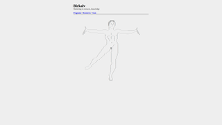 Thumbnail of birkalv.com