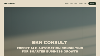 Thumbnail of bknconsult.com