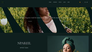 Thumbnail of npareil.com