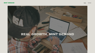 Thumbnail of mintdemand.com