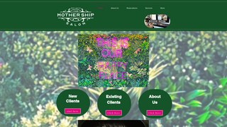 Thumbnail of themotthershipsalon.com