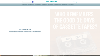 Thumbnail of pyleusaonline.com