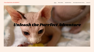 Thumbnail of sphynxbeauties.com