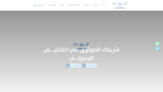 Thumbnail of businestower.com
