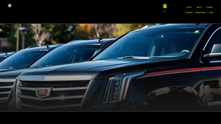 Thumbnail of thomasluxtransportation.com