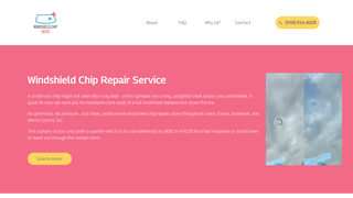 Thumbnail of windshieldchipmedic.com
