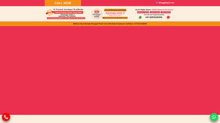 Thumbnail of astrologerankit.com