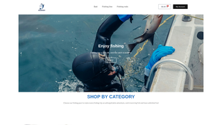 Thumbnail of fieldsportt.com