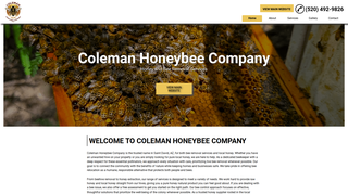 Screenshot of beeremovalsaintdavid.com