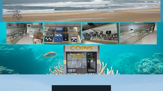 Thumbnail of kmecoins.com