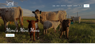 Thumbnail of mimisminimoos.com