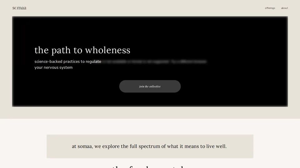 Screenshot of somaacollective.com
