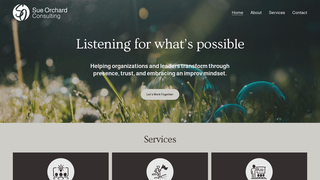 Thumbnail of sueorchardconsulting.com