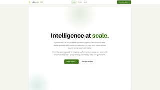 Screenshot of cyberscale.agency