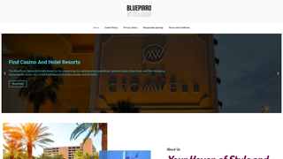 Thumbnail of bluepirro.com