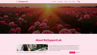Thumbnail of bizsupportlab.com