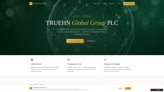 Screenshot of truehnglobalgroup.com