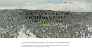 Thumbnail of reallargechristmastrees.com