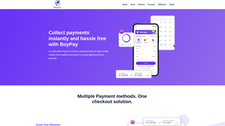 Thumbnail of boypays.com