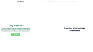 Thumbnail of dshtrust.com