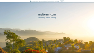 Thumbnail of meiteam.com