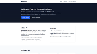 Thumbnail of meshteq.com