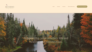 Thumbnail of bluebirdtherapycollective.com