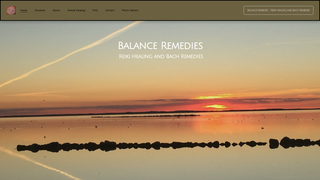 Thumbnail of balanceremedies.com