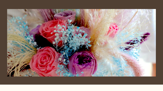 Thumbnail of charlottemylesphotography.com