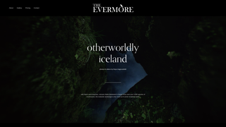 Thumbnail of theevermorevenue.com