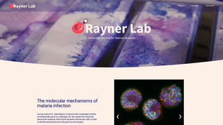 Thumbnail of theraynerlab.org