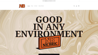 Thumbnail of nicbric.com