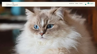 Thumbnail of silvaroyals.com