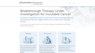 Thumbnail of cti-synergy.com